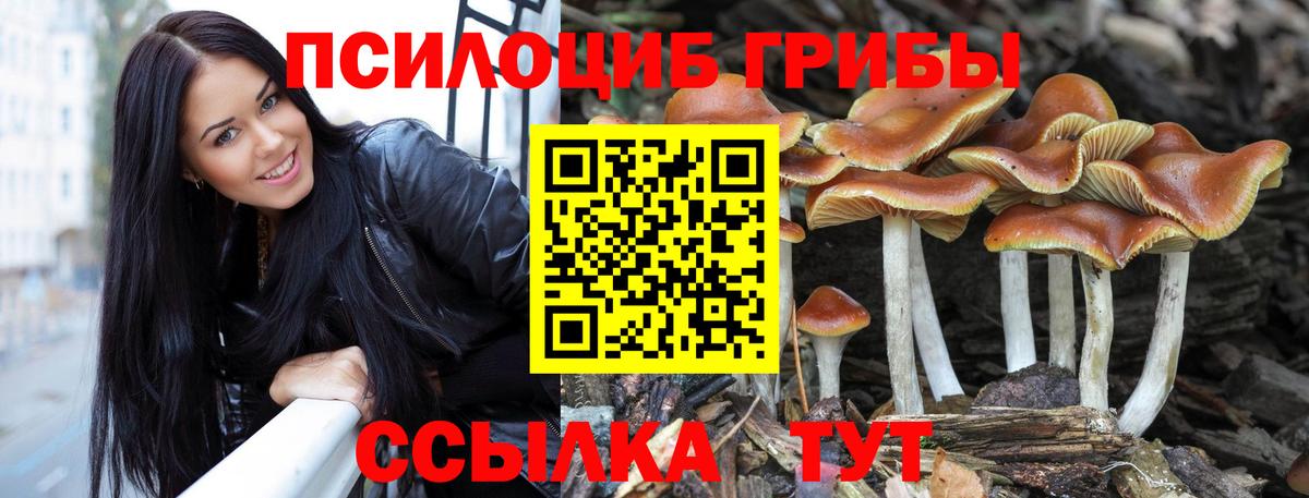 Ленинск-Кузнецкий  Галлюциногенные грибы Magic Shrooms  Вход с VPN 